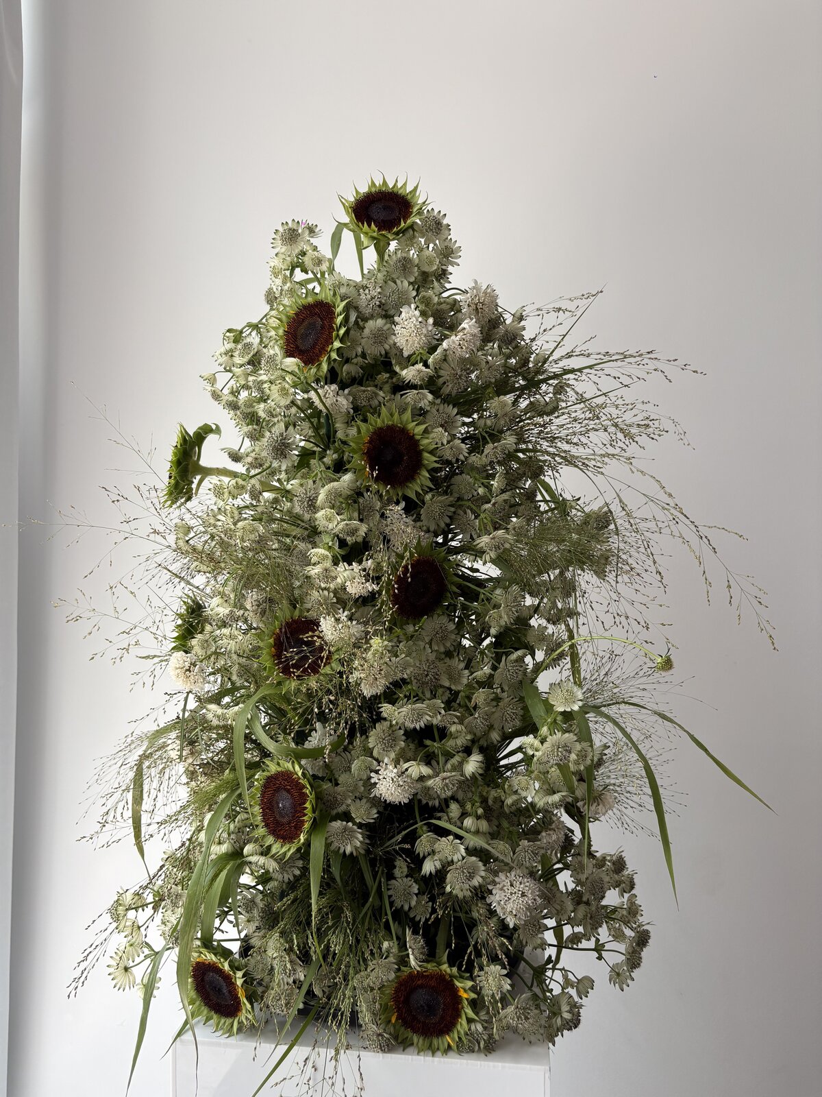 Sculptural sunflower and Queen Anne's lace arrangement by Wilted NYC
