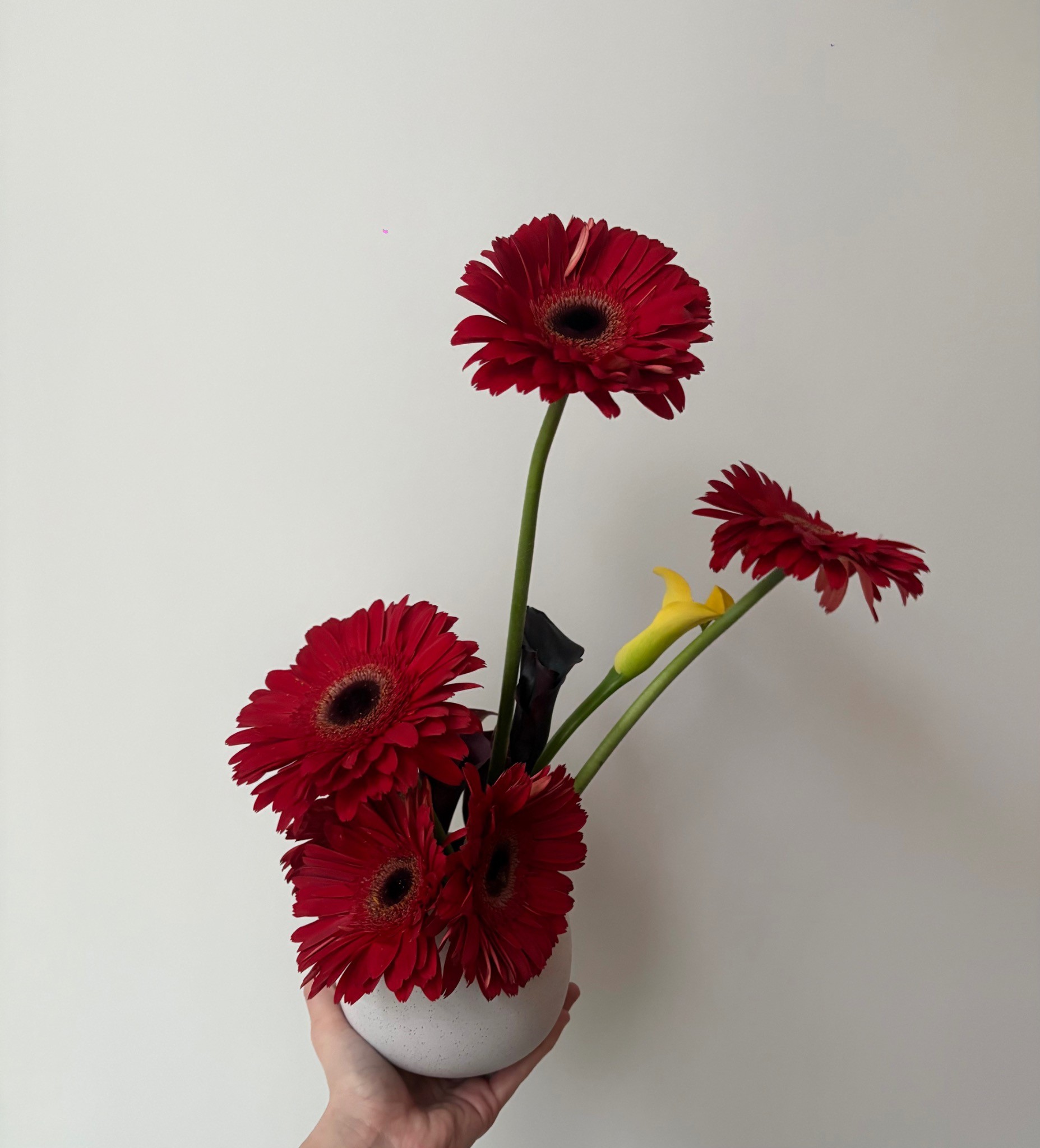 Red sculptural gerbera floral arrangement in a white vessel by Wilted NYC